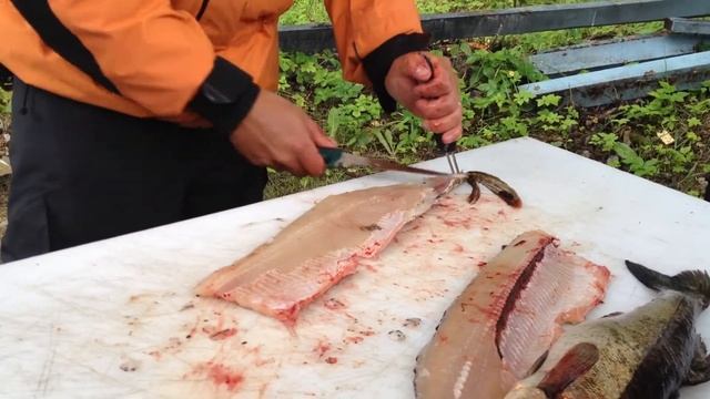 Как правильно разделать рыбу. How to carve fish. Мастер класс, как почистить рыбу.