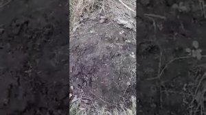 КРОТОВЬЯ ЗЕМЛЯ для комнатных цветов! Успех и удивление  Вам гарантирован!