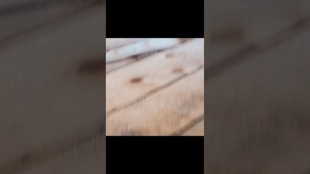 Обзор на моей дачи.