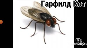 А муха тоже вертолёт (Pop Remix)