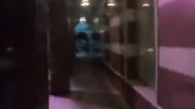 Соколиная охота