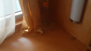 Обзор каюты на теплоходе Иван Кулибин.День 1 круиза.