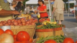 Как выглядели первобытные предки современных фруктов и овощей