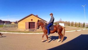 Самый большой ипподром в России. Максим пробует кататься на лошади (Поездка в Казань - день 5)