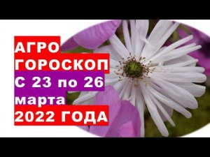 Агрогороскоп с 23 по 26 марта 2022 года