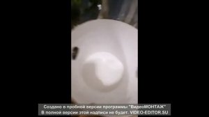 жиро уловитель своими руками за 5 минут