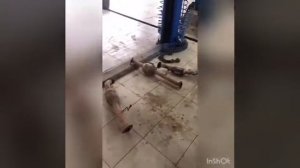 Удаление катализатора и перепрошивка Lexus LX 570