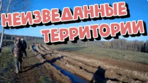 Выезд на Урочище. Разведка новых мест с металлоискателем.