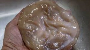 Как приготовить калиновый гриб | Лечение высокого давления, болезней сердца | Укрепление организма.