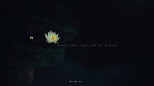 Beautiful Relaxing Music • Silent Orbit - Spirits Of Our Dreams