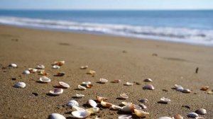 Как загадать желание в свой День Рождения