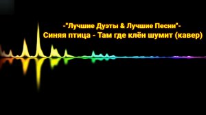 Синяя птица - Там где клён шумит (кавер)