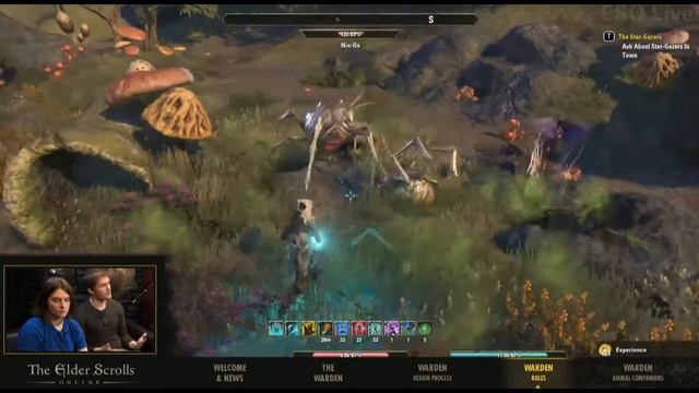 Elder Scrolls Online: Hüter / Warden Übersicht - Teil 1 von 4 - Morrowind Preview #eso