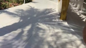 Отдых в Дубае. ОАЭ. Шарджа. Парк бабочек в Шардже