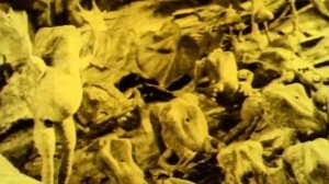 Как лягушки выпросили себе короля 1922