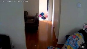 Вор в Новой Зеландии обчистил дом, укрывшись детским одеялом