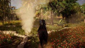 20. Assassin's Creed Origins: Загадка папируса - Царское дерево