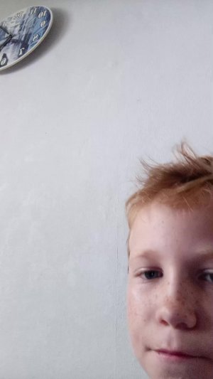 вызов смайл дога