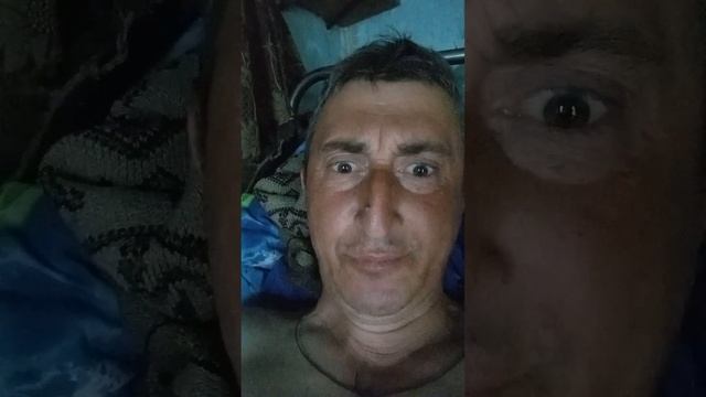 сказка быль от Емельяна. волк с лисой, защитники леса смотреть онлайн