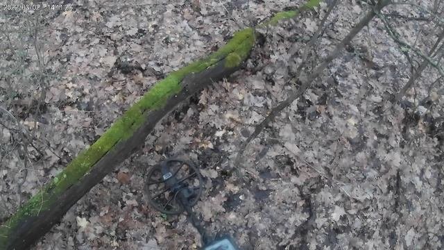 Выехали в лес покопать металла.