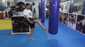 Фронт кик. Удар ногой.Отработка на мешке и груше.