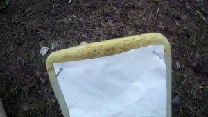 #Опасный для жизни.# #Патрон с солью# 12калибр.