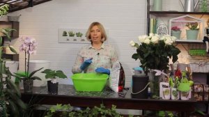 Волшебная грядка - питательный торфогрунт для овощных и цветочных культур