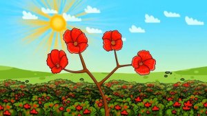 Профессор Почемушкин    Как растет хлопок