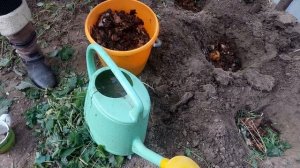 Ранняя посадка огурцов в теплицу - Часть 1