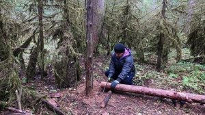 Стройка лесной хижины. Делаю каркас для стен.Часть 3