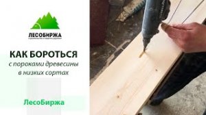 Как обработать древесину перед покраской укрывной краской
