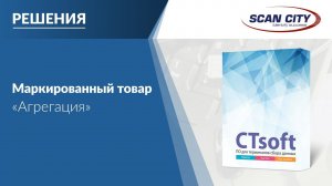 Работа с маркированным товаром в CTsoft. Часть 3: "Агрегация"