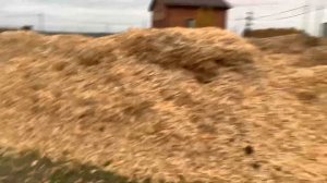 Щепа с Целендрованного сруба !  Для арболита !