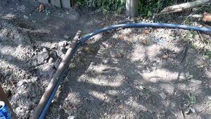 Как избавиться от слизней