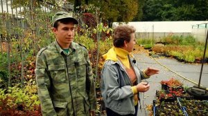 Эти растения можно сажать в октябре