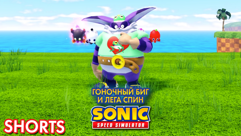 ГОНОЧНЫЙ БИГ И ЛЕГЕНДАРНЫЙ СПИН | Sonic Speed Simulator #sonic #roblox #sonicspeedsimulator #соник