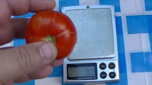 Томат Бони ММ (обзор)