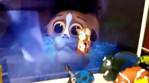 морда M&M's - School (Russia) (1999)