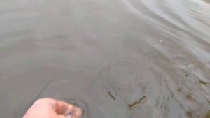 Полевской. Рыбалка на Раскуихе.. #рыбалка #ловлящуки