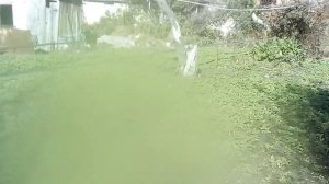 Самый лучший полив спрей лента туман.