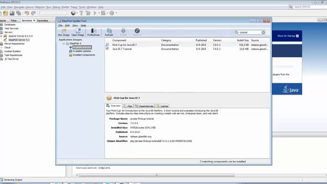 Setting Up the Java EE 7 Tutorial Samples смотреть онлайн