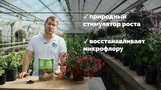 Органик Микс Биогумус для домашних растений
