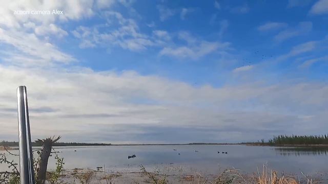DUCK HUNTING 2022 IN SIBERIA. KOLYMA/ PART 4 смотреть онлайн