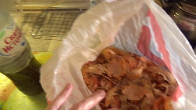 Суперская подкормка рассады и домашних растений.Просто вкуснятина! смотреть онлайн