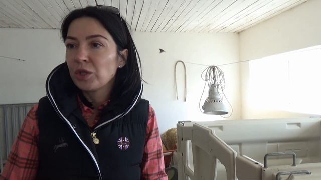 Телячья деревня: содержание телят в индивидуальных домиках. Умная ферма: прибыльный молочный бизнес