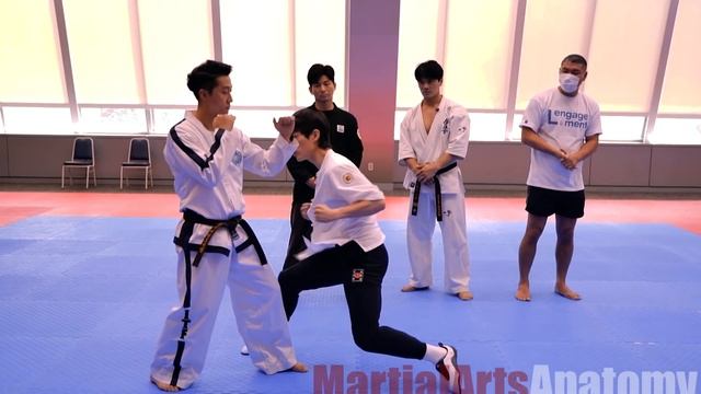 [Разбор полетов] Киокушин/Тэквондо/Теккен/Джиткундо ч.1