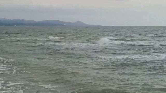 Переезд из Сибири на Юг./То, из-за чего стоит переезжать на Юг: горы, море, Рождество. смотреть онлайн