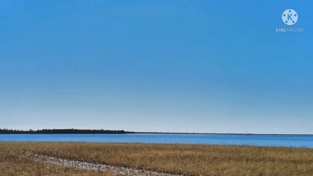 Весновка 2021 каракат в деле смотреть онлайн