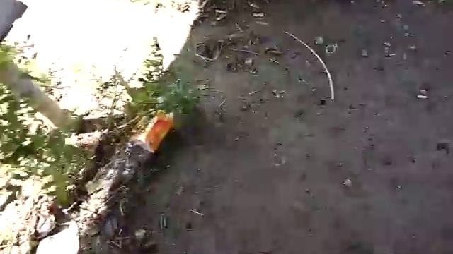 намечается заправка картриджа чернилами хочется орать смотреть онлайн