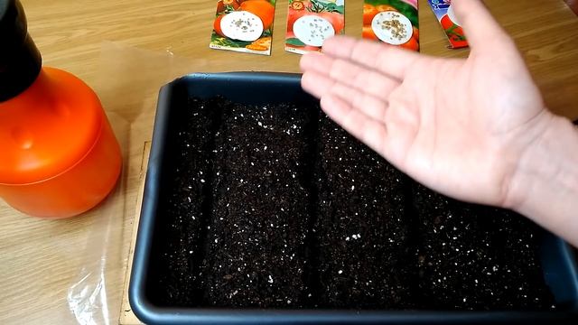 ПОСЕВ ТОМАТОВ НОВЫМ СПОСОБОМ ЧЕРНОЙ НОЖКИ НЕ БУДЕТ смотреть онлайн